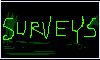 More Surveys Here!