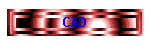 CAD