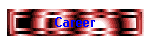 Career