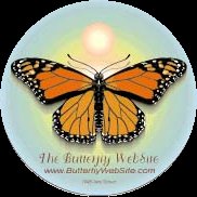 Butterfly Website