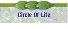 Circle Of Life