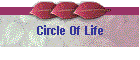 Circle Of Life