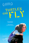 Turtles Can Fly