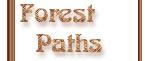 Forest Paths Link