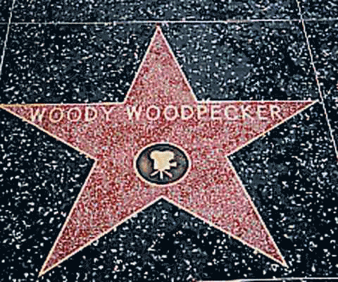 Woody Woodpecker Star on Hollywood Boulevard