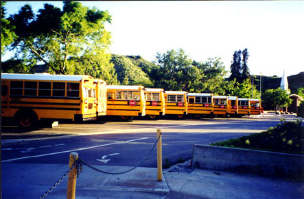 The Bus Line