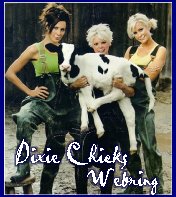 Dixie Chicks Webring