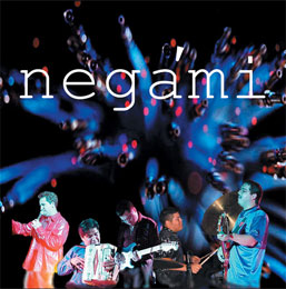 Negami Web Site