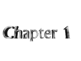 Chapter 1