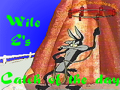 Wile E's Catch of the Day