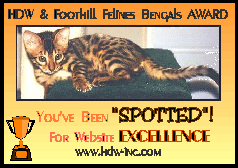 Bengals Award