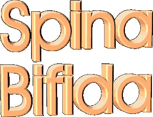 Spina Bifida