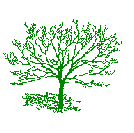 NR Tree logo.gif (2133 bytes)