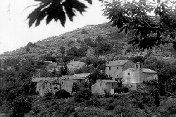 Come faccio agricoltura e agriturismo con l' energia e l' intelligenza della natura. Un grande giardino dove uomo, agricoltura e natura si fondono. Per esplorare gli aspetti della natura che non avete mai sentito.  agriturismo, toscana, umbria, arezzo, sansepolcro, anghiari, appartamento, natura, prodotti biologici, agricoltura, biologica, naturale, salute, benessere, terapia, pranoterapia, aura, campo energetico, reiki, new age, healing, medicina alternativa