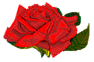 Rose2r.gif