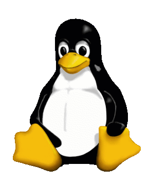 Linux Penguin Logo