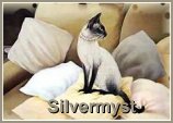 Silvermyst