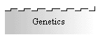 Genetics