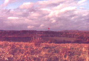 View of forest and far away castle