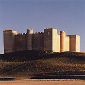 Castillo de Montealegre de Campos