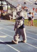 UNR mascot Wolfie