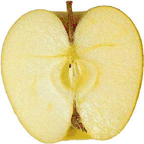 apple image with color compression and converted to a transparent gif.