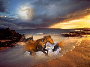 The horses and the woman were added into this photo using feathering.