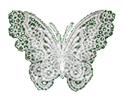 lace butterfly