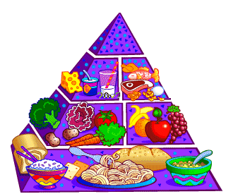 Food Pyramid