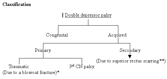 Classification : DDPALSY3.gif (3334 bytes)