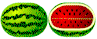 melons.gif (2502 bytes)