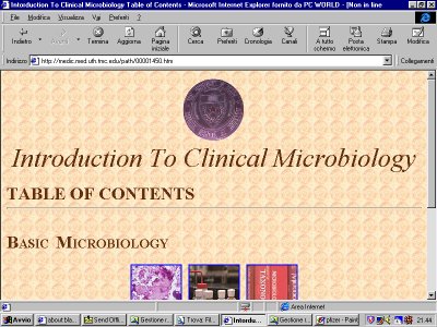 clinicalmicrobiology.jpg (41796 bytes)