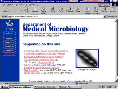 medicalmicrobiology.jpg (39800 bytes)