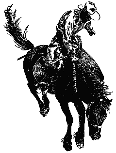 Bronco Rider