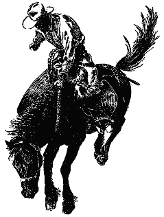 Bronco Rider