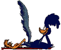 image of road runner