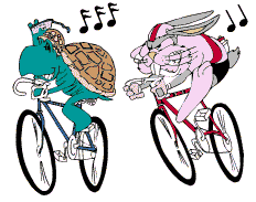 turtle and rabbit on bikes