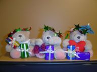 Xmas Bears