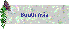 South Asia