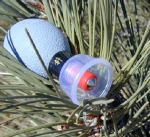 Close-up view of an acupressure cup