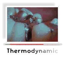 thermodynamic