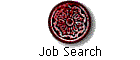 Job Search