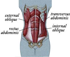 Abdominals