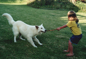 Emma with Grandma's new dog again