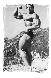 Arnold Schwarzenegger