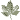 button_leaf.gif (226 bytes)