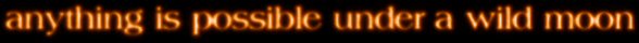 under a wild moon, anything is possible...