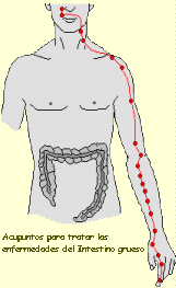 Puntos de acupuntura- 