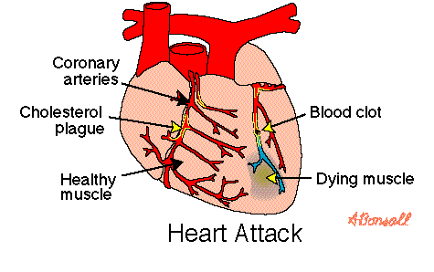 Its a Heart!
!!!!!!!!!!!!!!!!