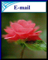 myemail.gif